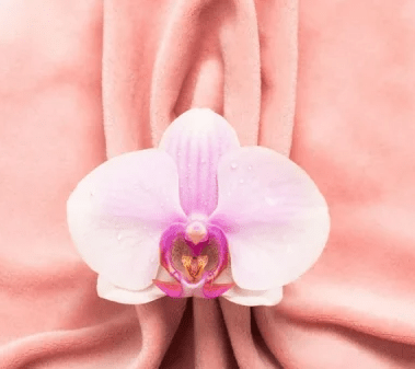 Ninfoplastia - Dra Bianca Passaro Bocchi